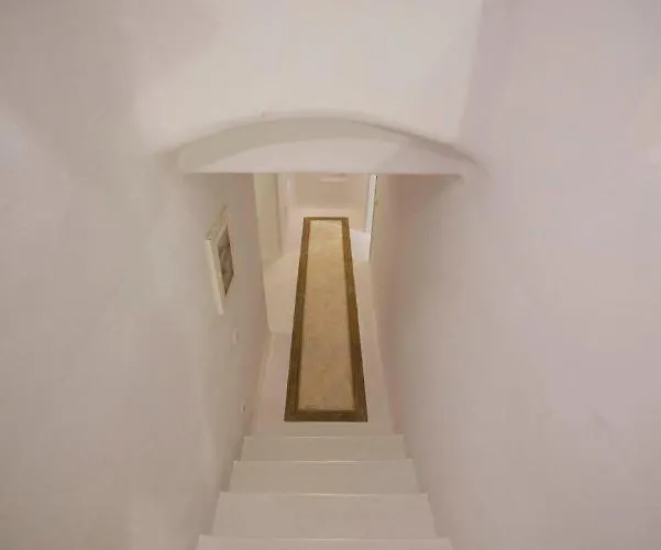 Ammonite With Heated Pool By Diles * Pszarú